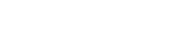 Volkswagen Driving Experience